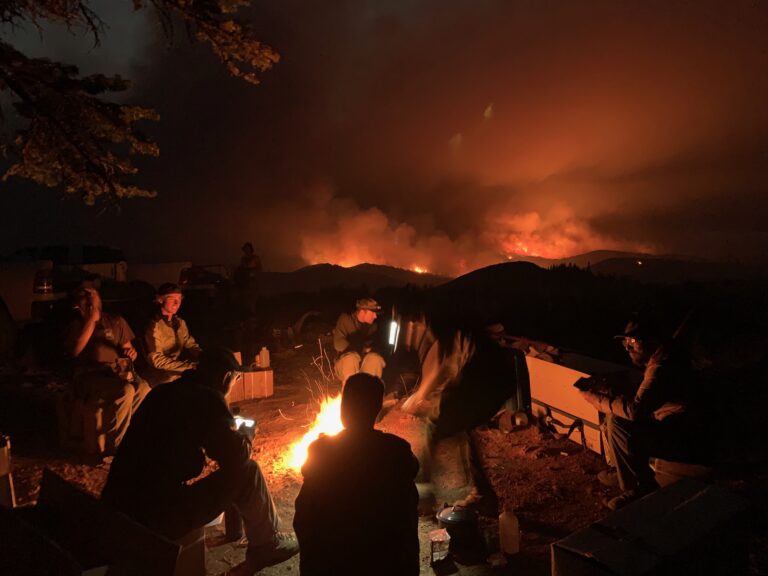 Glowing forest fire at night