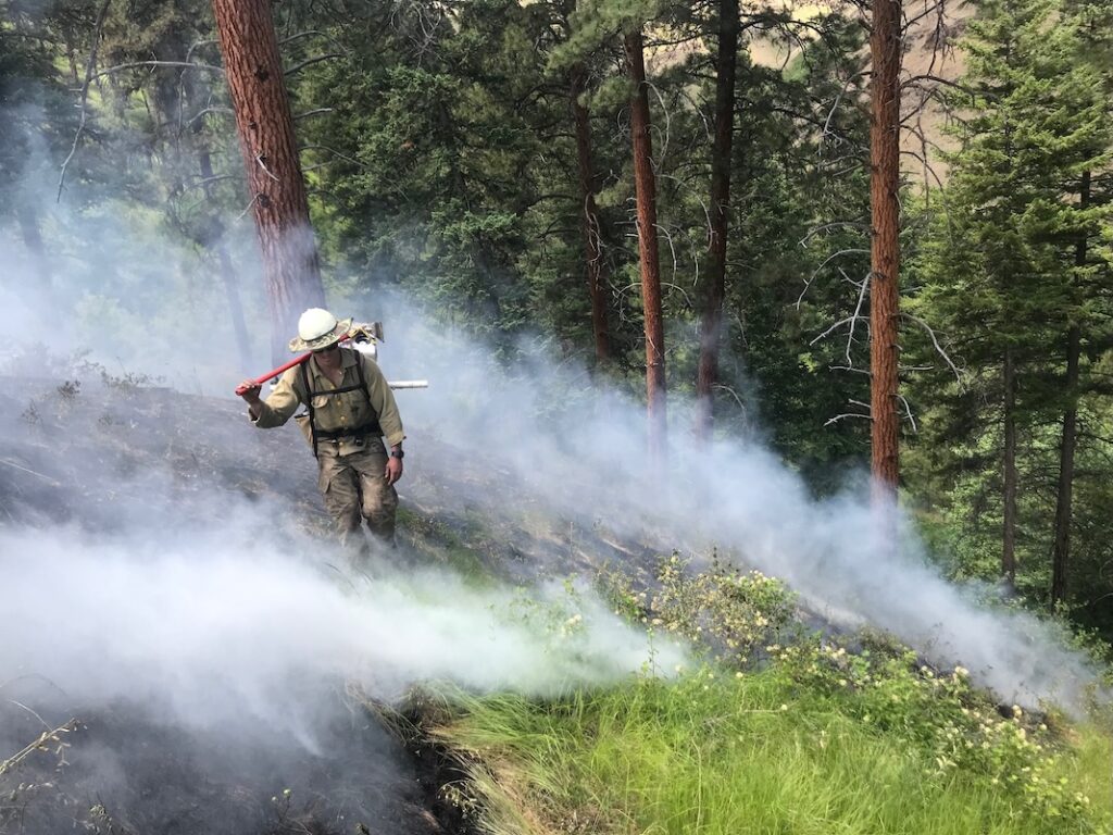 Hiking through the forest fire smoke