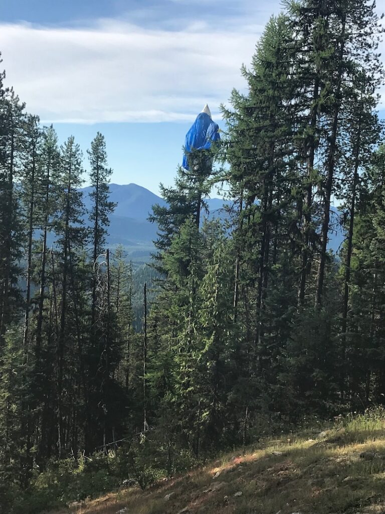 Smoke jumper who parachuted onto a tree