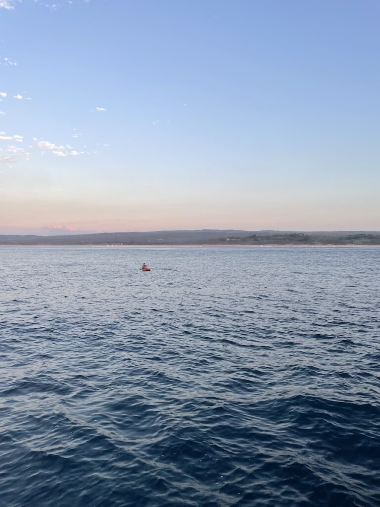 Maya swimming at dawn in the ocean