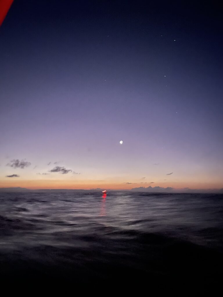 Maya swimming in the middle of the night in the ocean