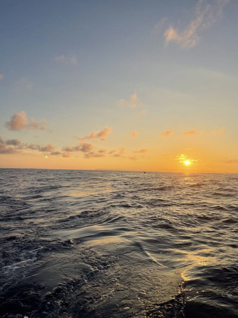 Maya swimming at sunset in the ocean