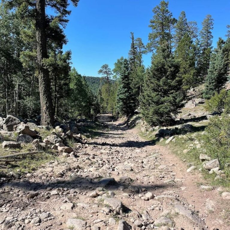 A particularly rough section of the route