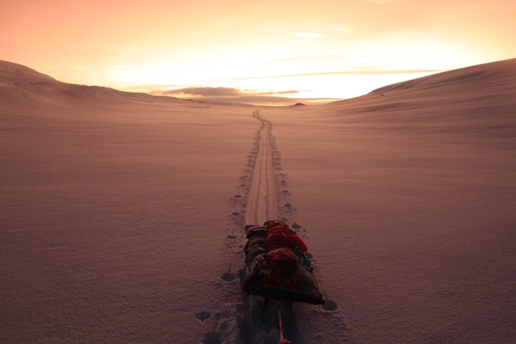A sled being pulled during the midnight sun.