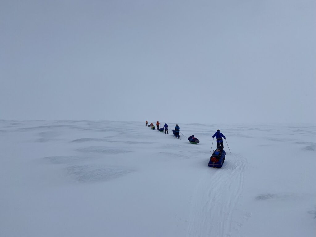 The Greenland expeditioners on skis