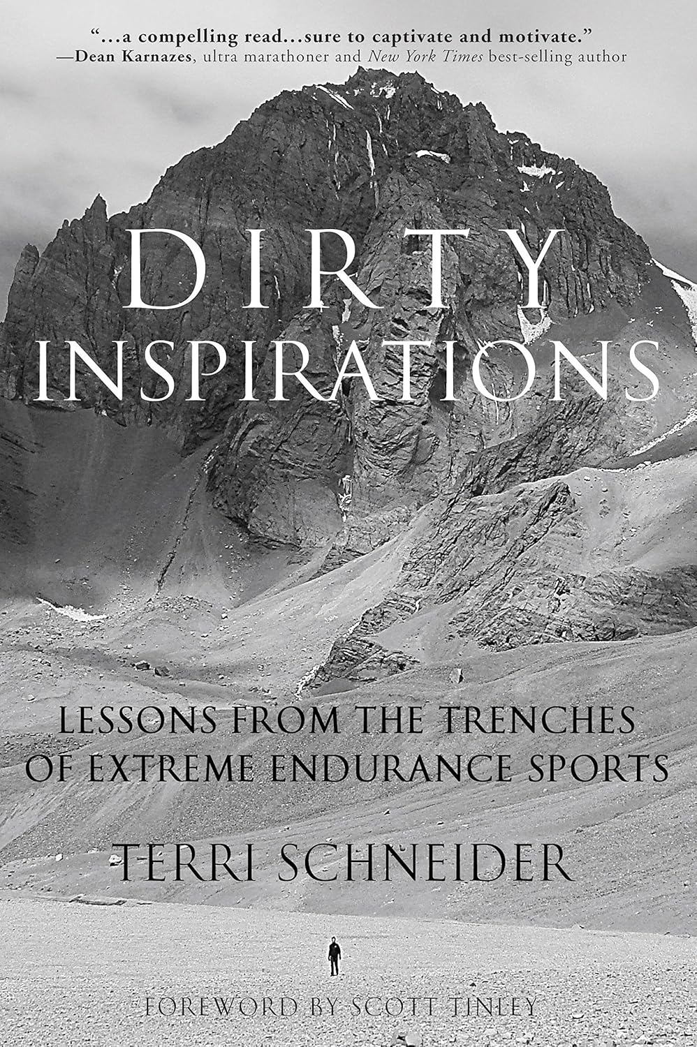 Jacket cover of the book, "Dirty Inspirations" by Terri Schneider