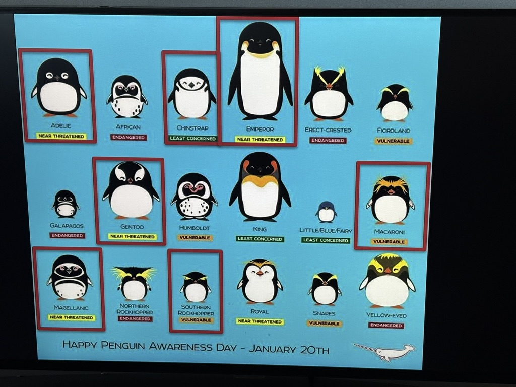 A chart of all the penguin species