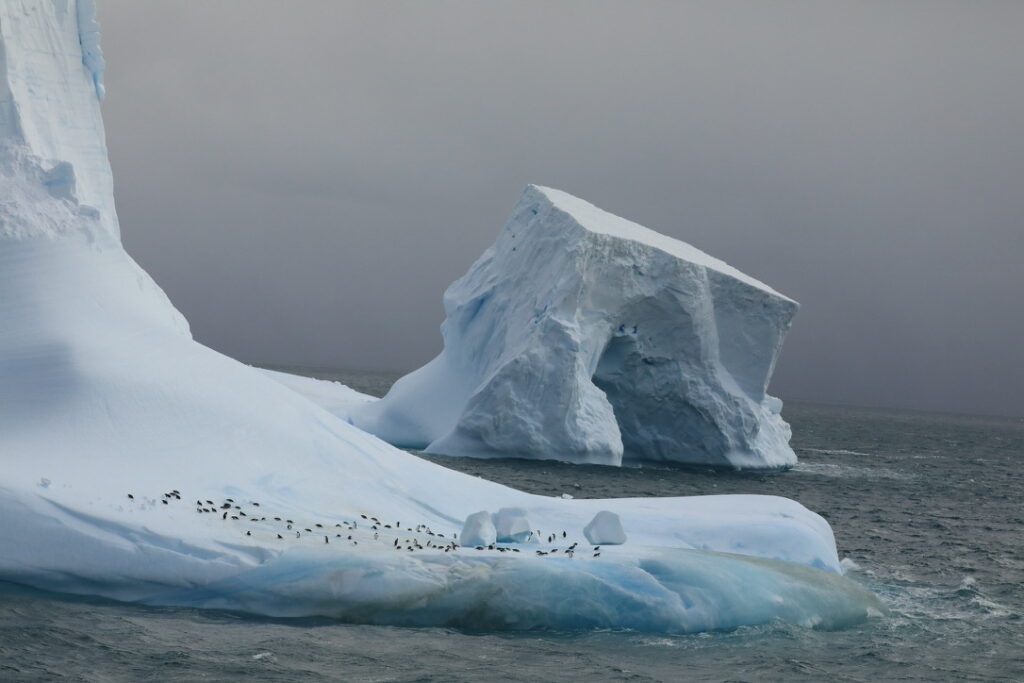 A giant iceberg with penguins on it.