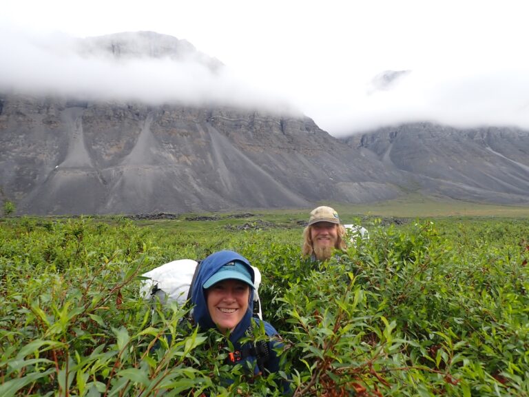 Walking through a neck-high jungle