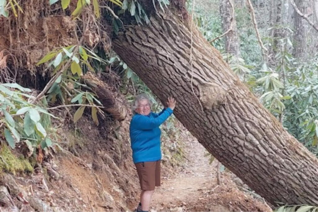 Betty on the AT "holding up" a tree