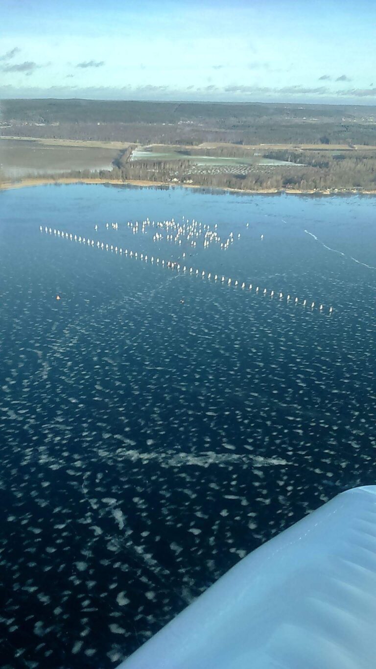 An aerial view of a frozen lake with dozens of ice boats lined up to race